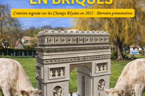 Les Champs en brique